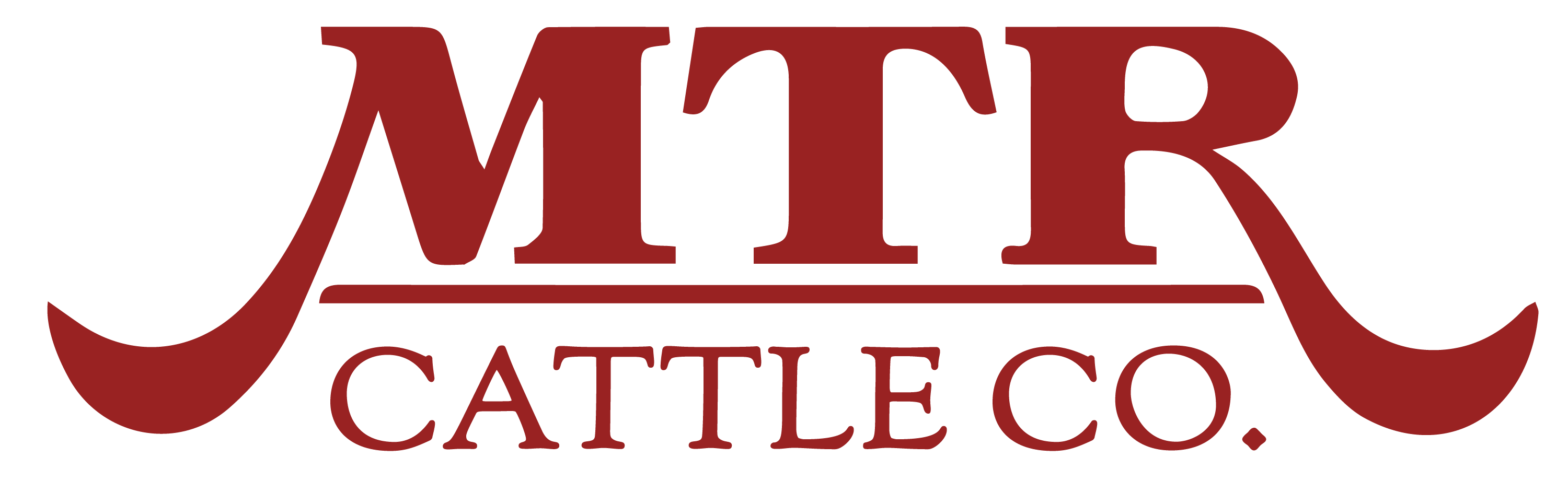 MTR Cattle Company